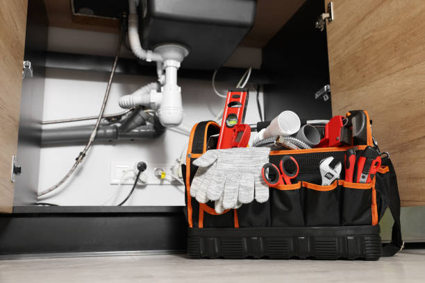 Best Local Plumber Services  in Caledonia, WI